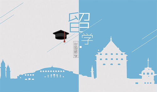 自費出國留學全攻略 手續(xù)辦理與中介服務選擇指南